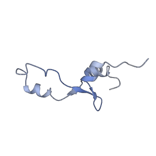 21856_6wnt_E_v1-1
50S ribosomal subunit without free 5S rRNA and perturbed PTC