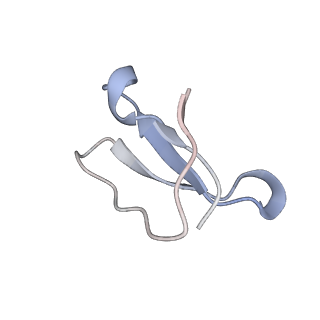 21856_6wnt_F_v1-1
50S ribosomal subunit without free 5S rRNA and perturbed PTC