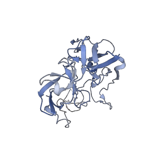 21856_6wnt_b_v1-1
50S ribosomal subunit without free 5S rRNA and perturbed PTC