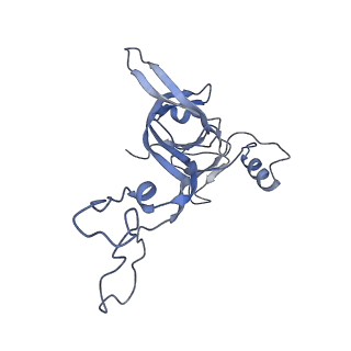 21856_6wnt_c_v1-1
50S ribosomal subunit without free 5S rRNA and perturbed PTC