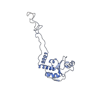 21856_6wnt_d_v1-1
50S ribosomal subunit without free 5S rRNA and perturbed PTC