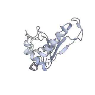 21856_6wnt_e_v1-1
50S ribosomal subunit without free 5S rRNA and perturbed PTC