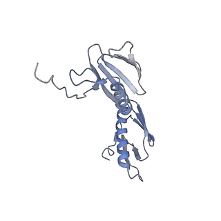 21856_6wnt_f_v1-1
50S ribosomal subunit without free 5S rRNA and perturbed PTC