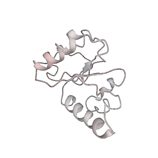 21856_6wnt_h_v1-0
50S ribosomal subunit without free 5S rRNA and perturbed PTC