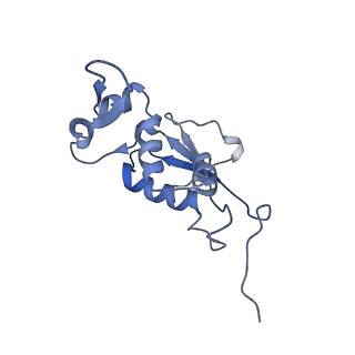 21856_6wnt_j_v1-0
50S ribosomal subunit without free 5S rRNA and perturbed PTC