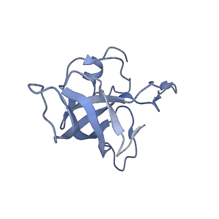 21856_6wnt_k_v1-1
50S ribosomal subunit without free 5S rRNA and perturbed PTC