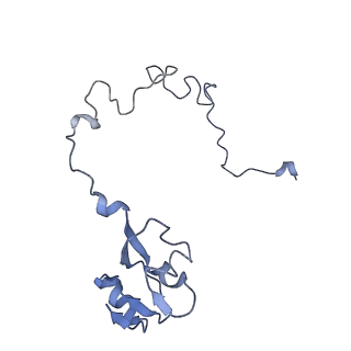 21856_6wnt_l_v1-1
50S ribosomal subunit without free 5S rRNA and perturbed PTC