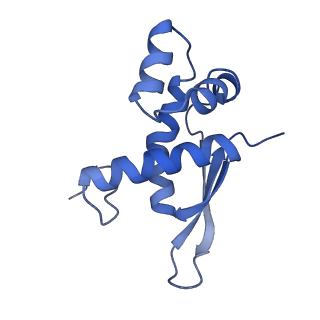 21856_6wnt_n_v1-1
50S ribosomal subunit without free 5S rRNA and perturbed PTC