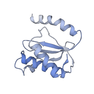 21856_6wnt_o_v1-1
50S ribosomal subunit without free 5S rRNA and perturbed PTC