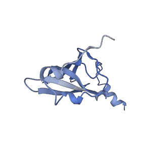 21856_6wnt_p_v1-0
50S ribosomal subunit without free 5S rRNA and perturbed PTC