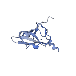 21856_6wnt_p_v1-1
50S ribosomal subunit without free 5S rRNA and perturbed PTC