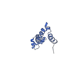 21856_6wnt_q_v1-1
50S ribosomal subunit without free 5S rRNA and perturbed PTC