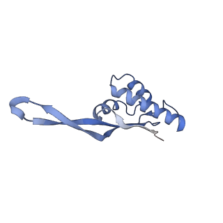 21856_6wnt_s_v1-1
50S ribosomal subunit without free 5S rRNA and perturbed PTC