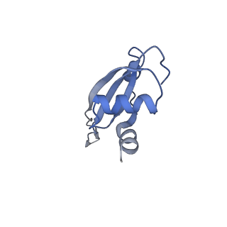 21856_6wnt_t_v1-1
50S ribosomal subunit without free 5S rRNA and perturbed PTC