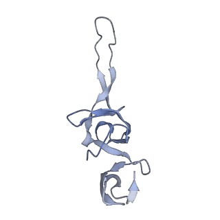 21856_6wnt_u_v1-0
50S ribosomal subunit without free 5S rRNA and perturbed PTC
