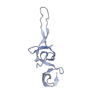 21856_6wnt_u_v1-1
50S ribosomal subunit without free 5S rRNA and perturbed PTC