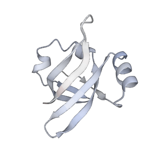 21856_6wnt_v_v1-1
50S ribosomal subunit without free 5S rRNA and perturbed PTC