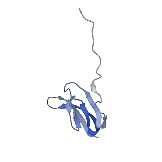 21856_6wnt_w_v1-0
50S ribosomal subunit without free 5S rRNA and perturbed PTC