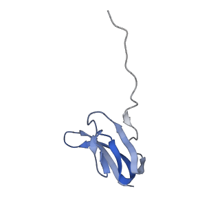 21856_6wnt_w_v1-1
50S ribosomal subunit without free 5S rRNA and perturbed PTC