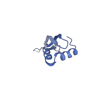21856_6wnt_x_v1-0
50S ribosomal subunit without free 5S rRNA and perturbed PTC