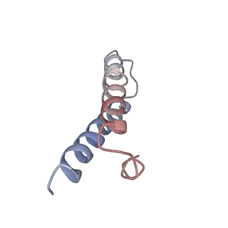 21856_6wnt_y_v1-1
50S ribosomal subunit without free 5S rRNA and perturbed PTC