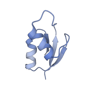 21856_6wnt_z_v1-1
50S ribosomal subunit without free 5S rRNA and perturbed PTC