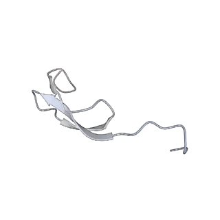 21857_6wnv_A_v1-1
70S ribosome without free 5S rRNA and with a perturbed PTC