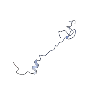 21857_6wnv_B_v1-0
70S ribosome without free 5S rRNA and with a perturbed PTC