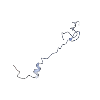 21857_6wnv_B_v1-1
70S ribosome without free 5S rRNA and with a perturbed PTC