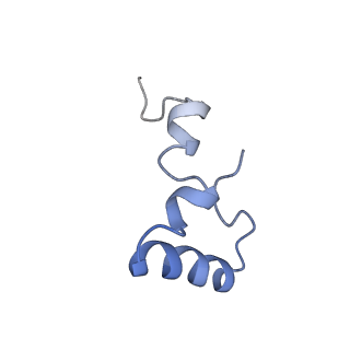 21857_6wnv_D_v1-0
70S ribosome without free 5S rRNA and with a perturbed PTC