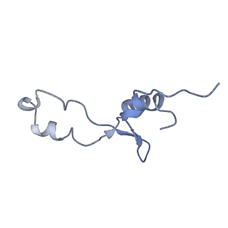 21857_6wnv_E_v1-0
70S ribosome without free 5S rRNA and with a perturbed PTC