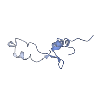 21857_6wnv_E_v1-1
70S ribosome without free 5S rRNA and with a perturbed PTC