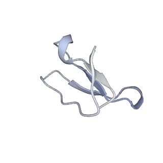 21857_6wnv_F_v1-0
70S ribosome without free 5S rRNA and with a perturbed PTC
