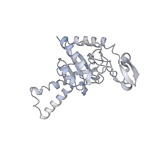 21857_6wnv_G_v1-0
70S ribosome without free 5S rRNA and with a perturbed PTC