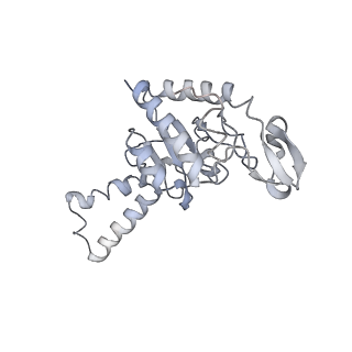 21857_6wnv_G_v1-1
70S ribosome without free 5S rRNA and with a perturbed PTC