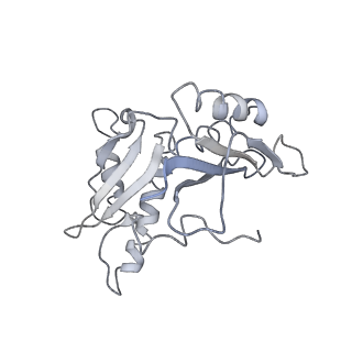 21857_6wnv_H_v1-0
70S ribosome without free 5S rRNA and with a perturbed PTC