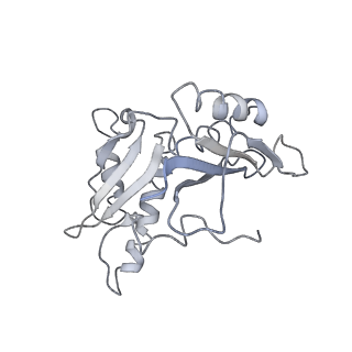 21857_6wnv_H_v1-1
70S ribosome without free 5S rRNA and with a perturbed PTC