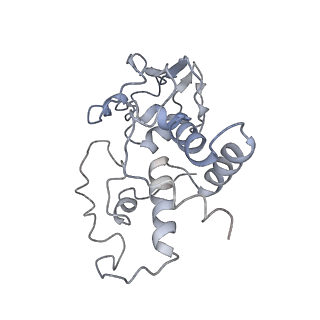 21857_6wnv_I_v1-0
70S ribosome without free 5S rRNA and with a perturbed PTC