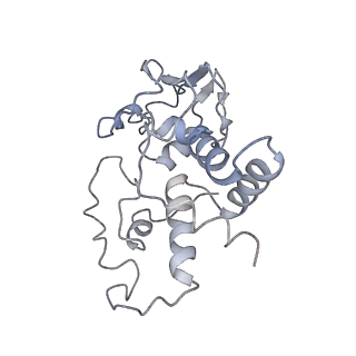 21857_6wnv_I_v1-1
70S ribosome without free 5S rRNA and with a perturbed PTC