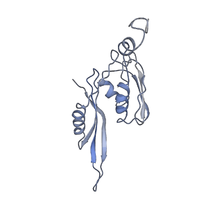 21857_6wnv_J_v1-0
70S ribosome without free 5S rRNA and with a perturbed PTC