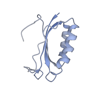 21857_6wnv_K_v1-0
70S ribosome without free 5S rRNA and with a perturbed PTC