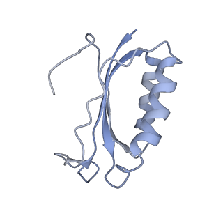 21857_6wnv_K_v1-1
70S ribosome without free 5S rRNA and with a perturbed PTC