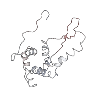 21857_6wnv_L_v1-0
70S ribosome without free 5S rRNA and with a perturbed PTC