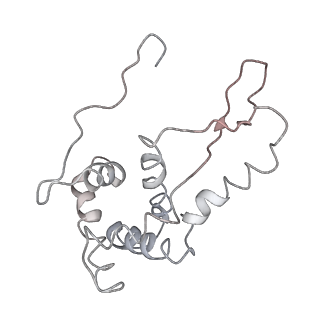 21857_6wnv_L_v1-1
70S ribosome without free 5S rRNA and with a perturbed PTC