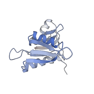 21857_6wnv_M_v1-0
70S ribosome without free 5S rRNA and with a perturbed PTC
