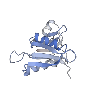 21857_6wnv_M_v1-1
70S ribosome without free 5S rRNA and with a perturbed PTC