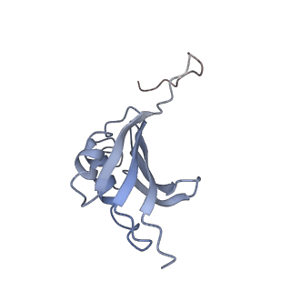 21857_6wnv_P_v1-0
70S ribosome without free 5S rRNA and with a perturbed PTC