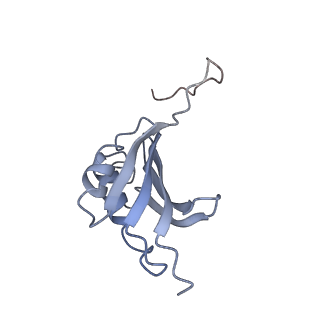 21857_6wnv_P_v1-1
70S ribosome without free 5S rRNA and with a perturbed PTC