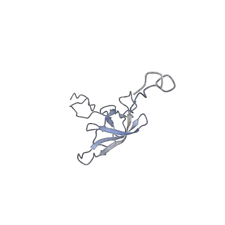 21857_6wnv_Q_v1-0
70S ribosome without free 5S rRNA and with a perturbed PTC