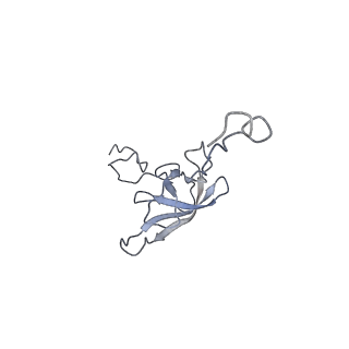 21857_6wnv_Q_v1-1
70S ribosome without free 5S rRNA and with a perturbed PTC